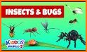 Insects and Bugs - Kids Learning Game related image