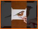 Bird Painting Launcher Theme related image