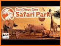 San Diego Zoo Safari Park — Travel Guide related image