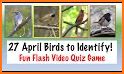 North American Bird ID Quiz related image