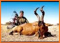 Deer Hunting Season Safari Hunt related image