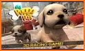 Dog Run - Pet Runner Simulator related image