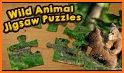 Animal Connect - Puzzle Game related image