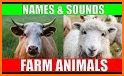 Farm Animals & Pets (Full) related image