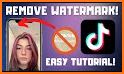 Video Downloader for TikTok No Watermark - Tmate related image