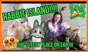 Rabbit Island related image