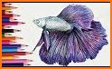 Betta Fish Coloring Book related image