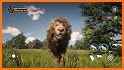 Lion Family Game - Animal Sim related image