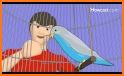 How to Take Care of a Pet Bird related image