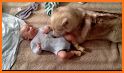 Baby Pet Labrador Care Puppy Nanny Daycare related image