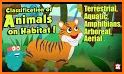 Smart Sort - Animals for Kids related image