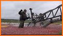 Wisconsin Cranberry Growers related image