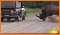 All-In-One Kruger Park related image