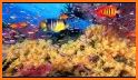 Coral Reef Live Wallpapers related image