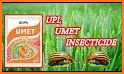 Umet related image