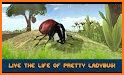 Ladybug simulator related image