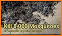 Dengue Mosquito Repellent related image