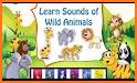 Baby Piano Animal Sounds For Kids related image