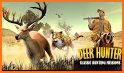 Deer Hunting Game - Free Hunting Games related image