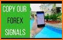 Pips Alert - Forex Signals related image