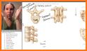 Human Anatomy and Physiology: Bones and Organs related image