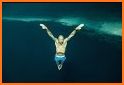 Apnea Free Diving & Snorkeling related image