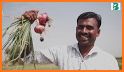 Bharat Krushi Seva - Smart Farming App related image