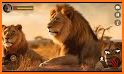 Lion Family Game - Animal Sim related image