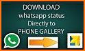 Free Status Saver App For WhatsApp 2019 related image