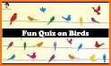 Bird Guide + Quiz Game PRO related image