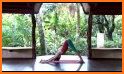 Yoga Workout by Sunsa. Yoga workout & fitness related image