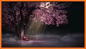 Wallpaper Sakura Arch Theme related image