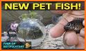 Fun Fishing: My Pet related image