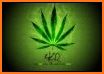 Reggae Weed Leaf Keyboard Background related image