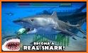 Ultimate Shark Simulator related image