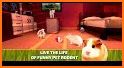 Cute Guinea Pig Home Adventure Simulator 3D related image