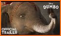 Baby Elephant - Circus Flying & Dancing Star! related image