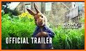 Peter Rabbit: Let's Go! (Free) related image