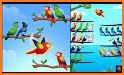 Birds Sort: Puzzle Game related image