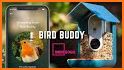 Bird Buddy: Smart Bird Feeder related image