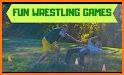 Recreational Wrestle-Fun Game related image