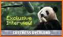 Baby Panda’s Pet House Design related image