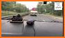 Speed Detector Camera: Live Alert & Route Recorder related image