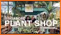 Plant Shop related image