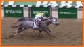 Photo Finish Horse Racing related image