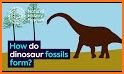 Dinosaur Fossils For Kids related image