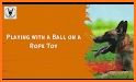 Ball To Rope related image