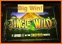 BIG WIN CASINO SLOTS : Wild Slots Casino Vegas related image