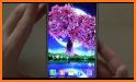 Lovely Pink Sakura Themes Live Wallpapers related image