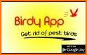 Birdy - Pest Bird Control related image